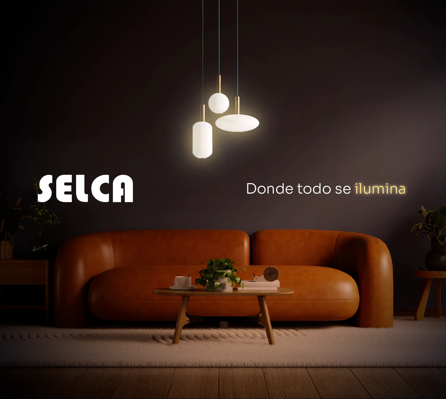 Seis Grados Estrategia y Diseño | Selca - Imagen