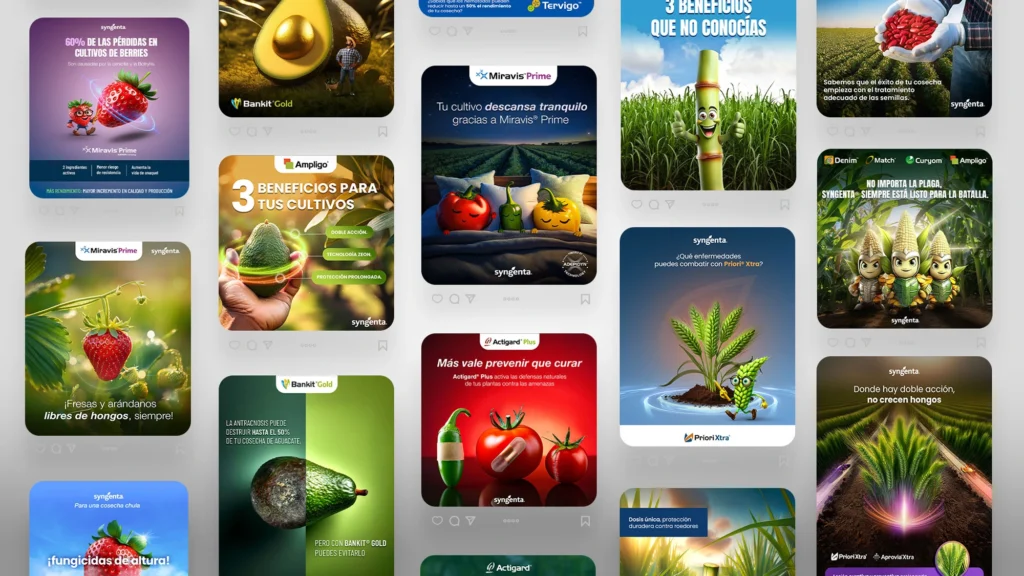 Estrategias de Branding y Marketing digital de Syngenta elaborados por Seis Grados.