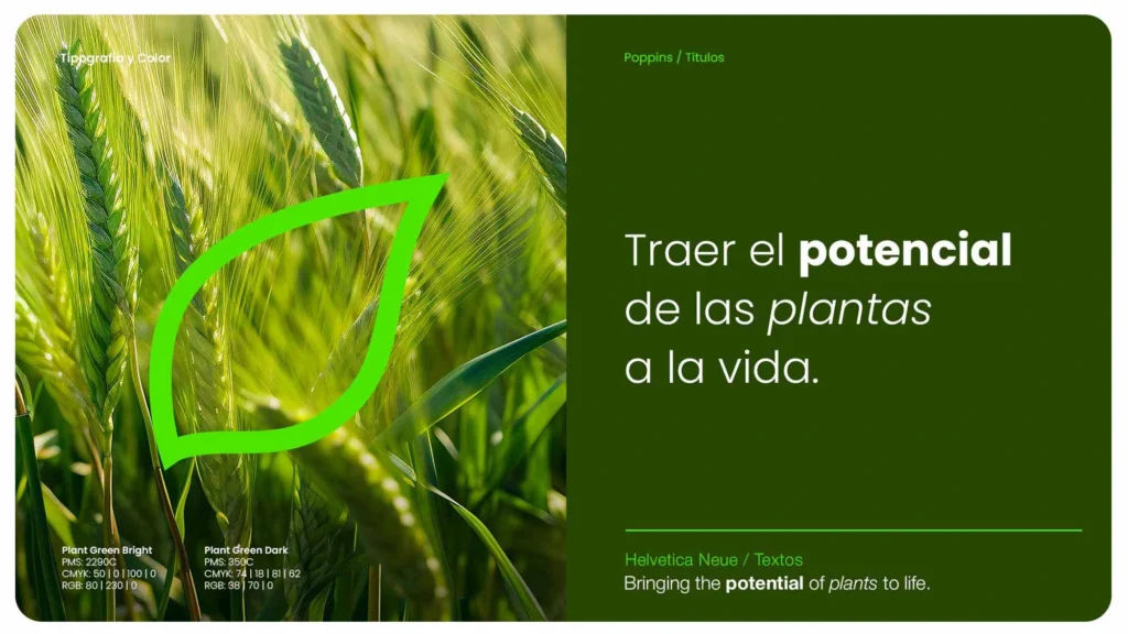 Proyectos de Marketing digital y branding de Syngenta.