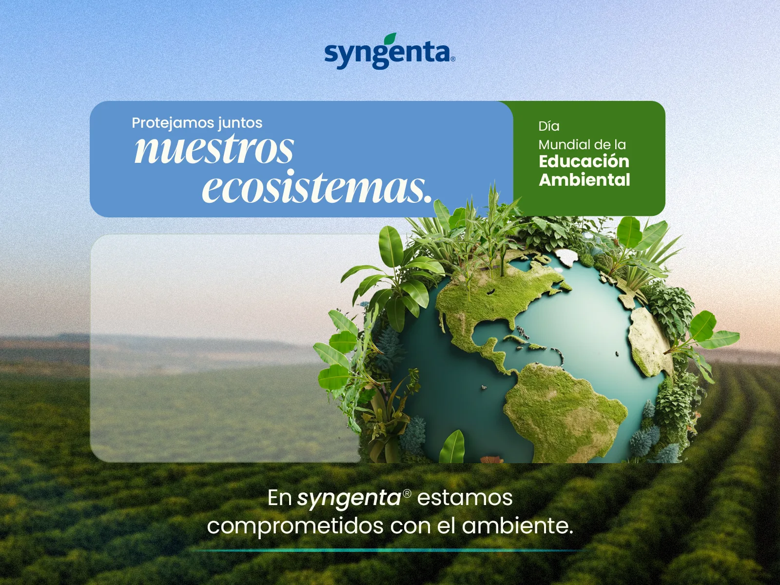 Syngenta — Social Media y Paid